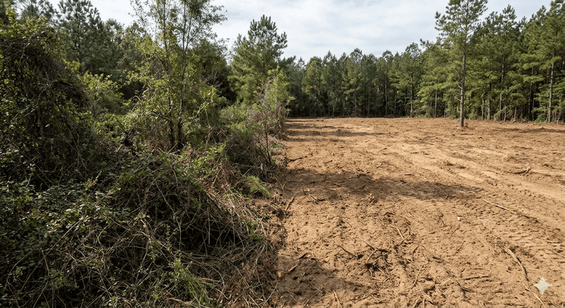 Brush clearing in Swainsboro, GA