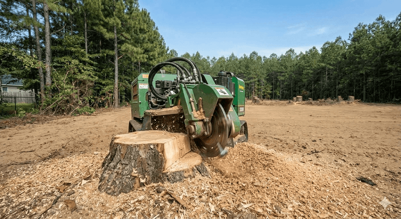 Stump removal in Swainsboro, GA